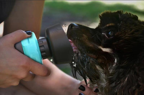 Pet Outdoor Foldable Bottle Dog Travel Water Bottle Dog Water Dispenser Pet Outdoor Foldable Bottle Dog Travel Water Bottle Dog Water Dispenser