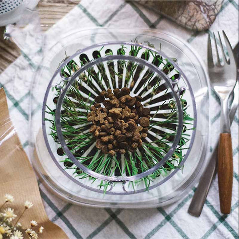 Household Simple Oblique Mouth Cat Drinking Bowl