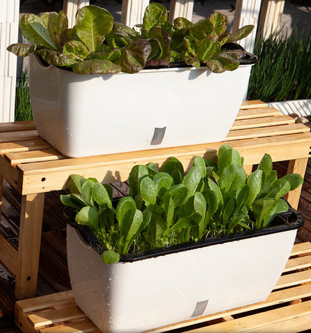 Lazy man long plastic flowerpot