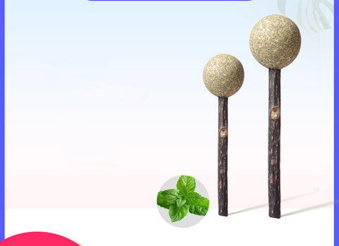 Cat Mint Ball Lollipop Toy