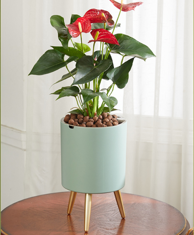 Automatic Self-Watering Flower Pot With Water Level Indicator Floor-standing Storage Basin Modern Design Ideal Gift For Friends