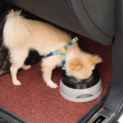 Traveling Car Bowl Anti-skid, Splash-proof And Non-wet Mouth