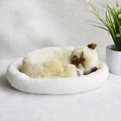 Decoration Creative Birthday Gifts Creative Gifts Crafts Cats That Breathe