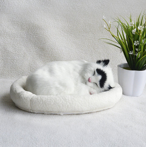 Decoration Creative Birthday Gifts Creative Gifts Crafts Cats That Breathe