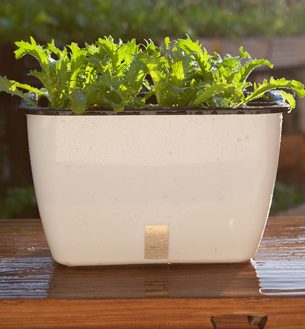 Lazy man long plastic flowerpot