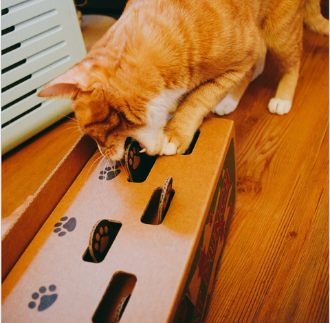 Cat toy hit hamster corrugated kitten carton funny cat toy pet toy paper