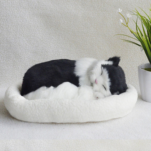 Decoration Creative Birthday Gifts Creative Gifts Crafts Cats That Breathe