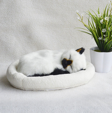 Decoration Creative Birthday Gifts Creative Gifts Crafts Cats That Breathe