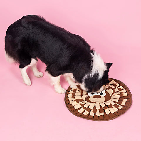 Dogs Snuffle Mat Pet Feeding Mats Puppy Sniffing Pad,Cat Doggies Interactive Puzzle Toys for Multiple Breeds Encourages Natural Foraging Skills,Training and Stress Release