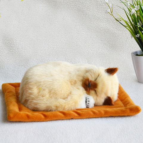 Decoration Creative Birthday Gifts Creative Gifts Crafts Cats That Breathe