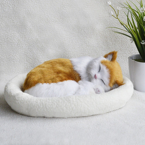 Decoration Creative Birthday Gifts Creative Gifts Crafts Cats That Breathe