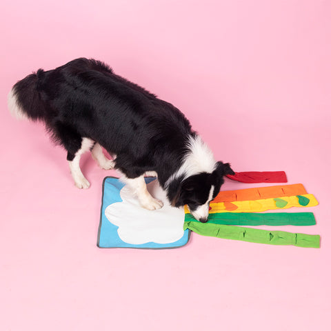 Pet Rainbow Enrichment Mat Dog Play Snuffle Mat For Boredom & Stress Relief, Treat Puzzle Games Interactive Nosework Pet Toy -Encourages Natural Foraging Skills