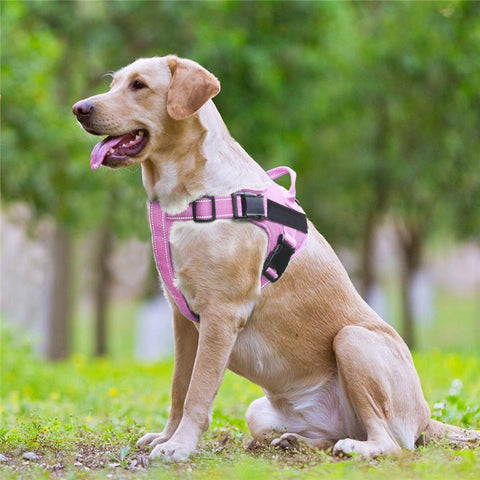 Dog vest chest strap leash