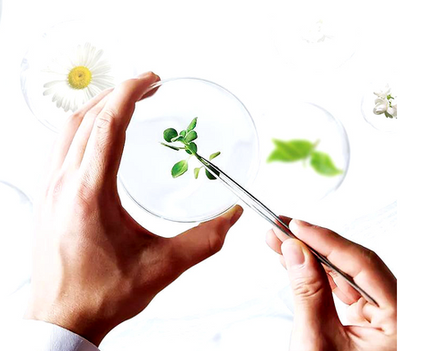 Solid Vehicle Air Outlet Aromatherapy Clamp